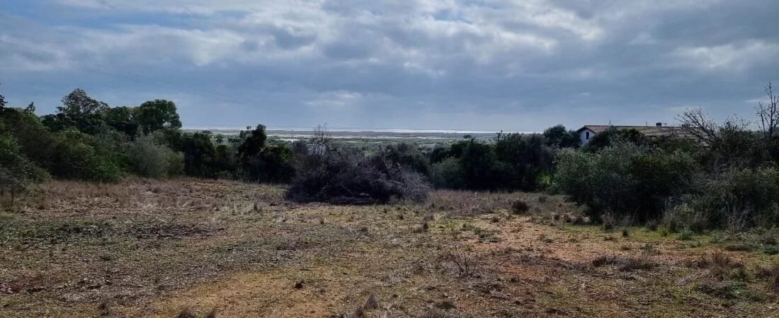 Terreno Rústico com Vista Ria Formosa – Bias do Sul, Olhão